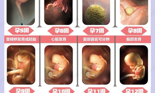 怀孕怎么知道胎儿是否正常-怎样知道怀孕期间孩子发育正常网-分享怀孕怎么看宝宝多少斤，怀孕怎么知道胎儿是否正常知识库