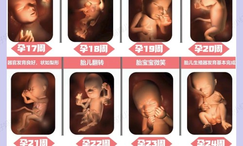 怀孕后怎么知道孩子是谁的-怎样知道怀孕期间孩子发育正常网-分享怀孕怎么看宝宝多少斤，怀孕怎么知道胎儿是否正常知识库