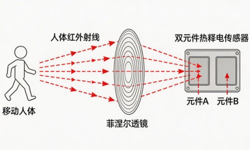 怀孕怎么知道胎儿是否正常-怎样知道怀孕期间孩子发育正常网-分享怀孕怎么看宝宝多少斤，怀孕怎么知道胎儿是否正常知识库